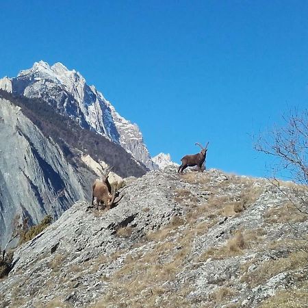 شقة Location Vacances Saint Michel De Maurienne "Le Dahu" المظهر الخارجي الصورة